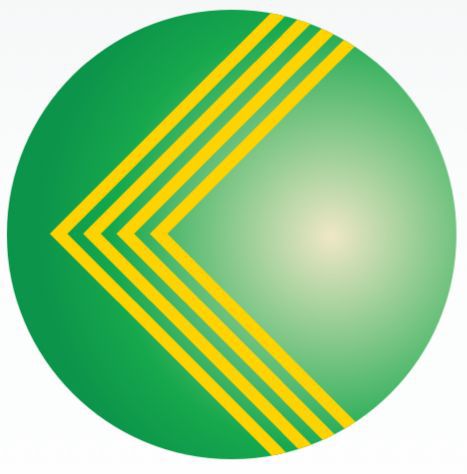 Icon 4